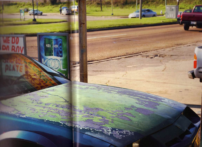 Louisiana (Car Hood)