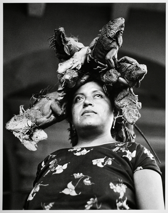 Nuestra Señora de las Iguanas