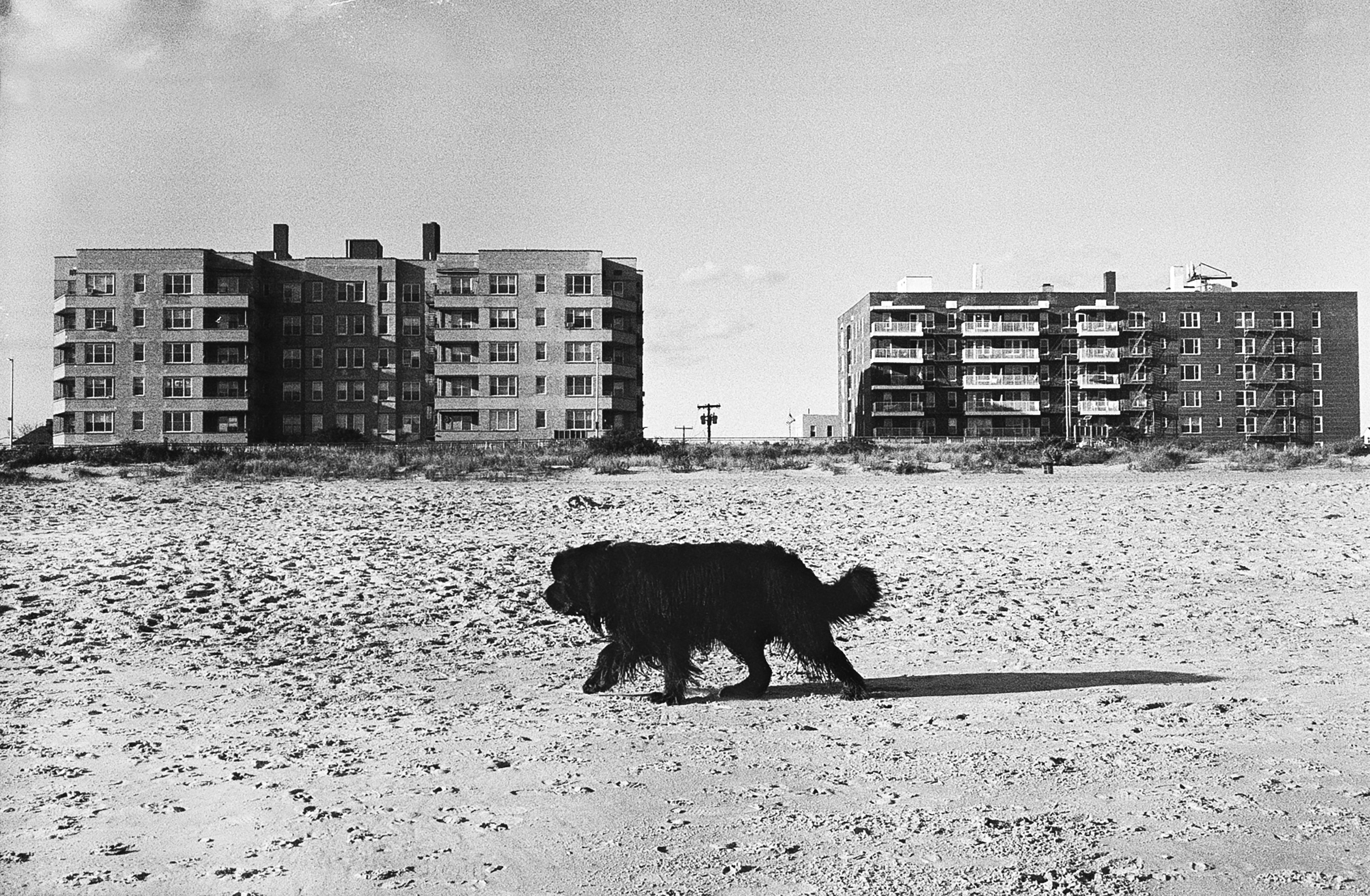 Enrichetta Punzo (DOC ‘24)