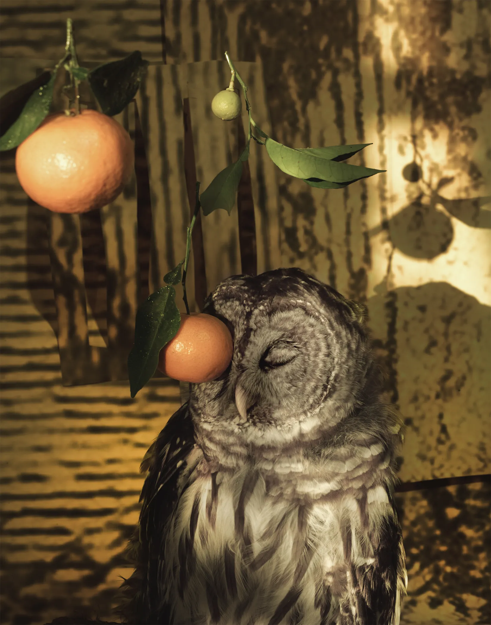 09_Soleimani_blind owl