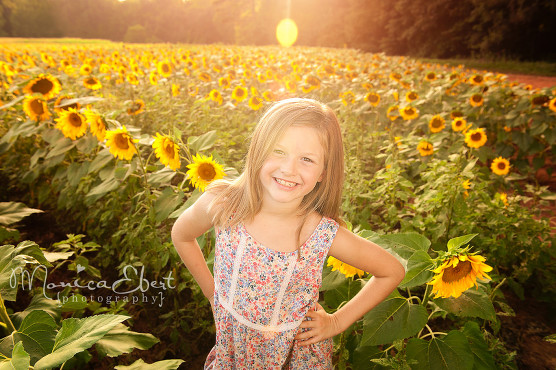 rock-hill-sunflower-pictures-SC-photographer-monica-ebert-photography